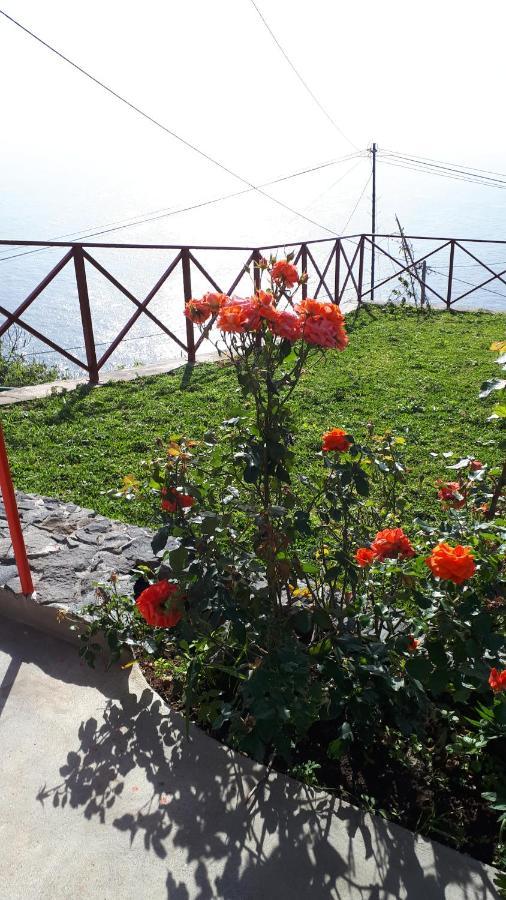 Casa Villa Dinastia Sotao Y Casa Villa Dinastia Miramar Ribeira Brava Bagian luar foto
