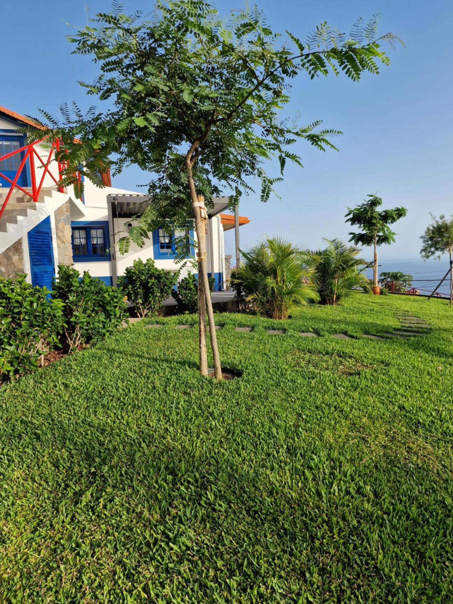 Casa Villa Dinastia Sotao Y Casa Villa Dinastia Miramar Ribeira Brava Bagian luar foto