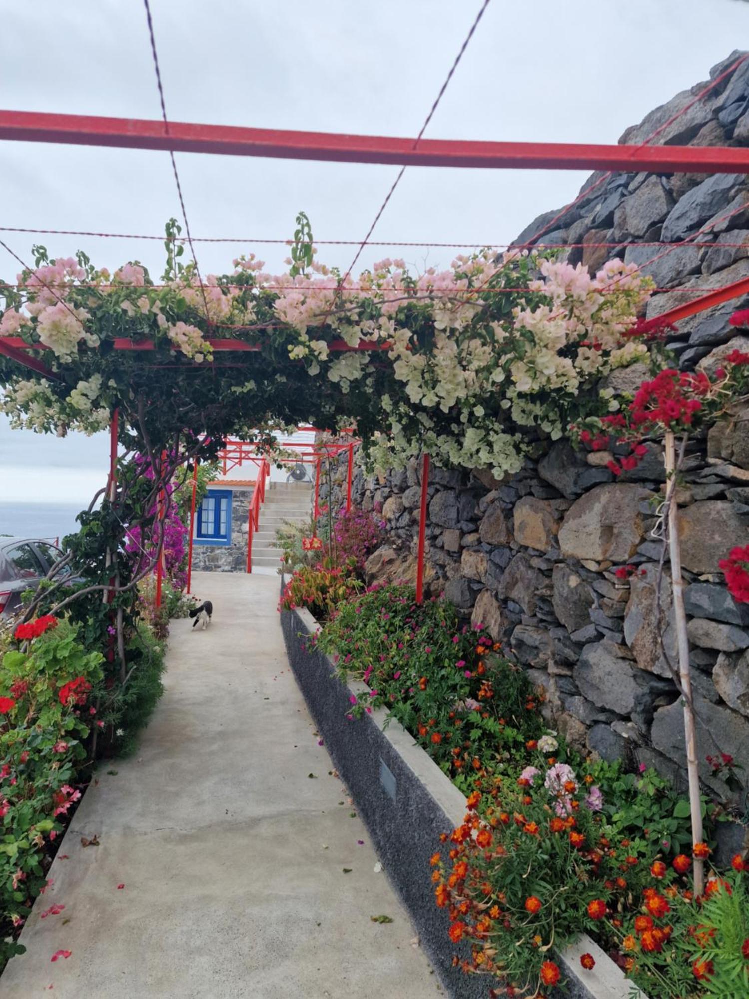 Casa Villa Dinastia Sotao Y Casa Villa Dinastia Miramar Ribeira Brava Bagian luar foto